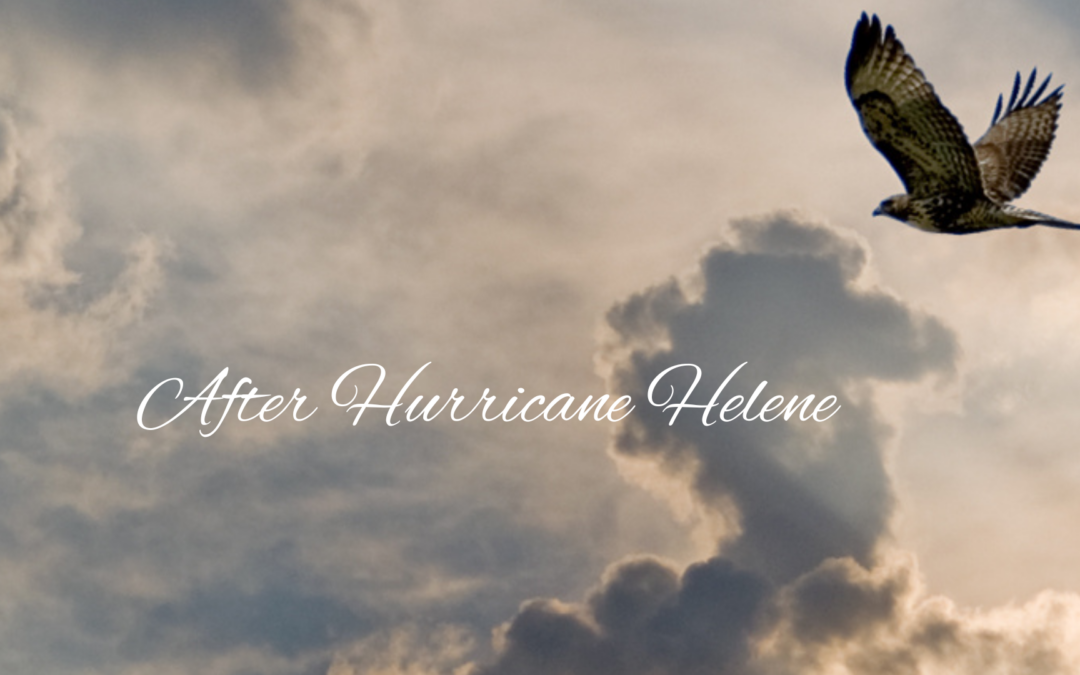 After Hurricane Helene